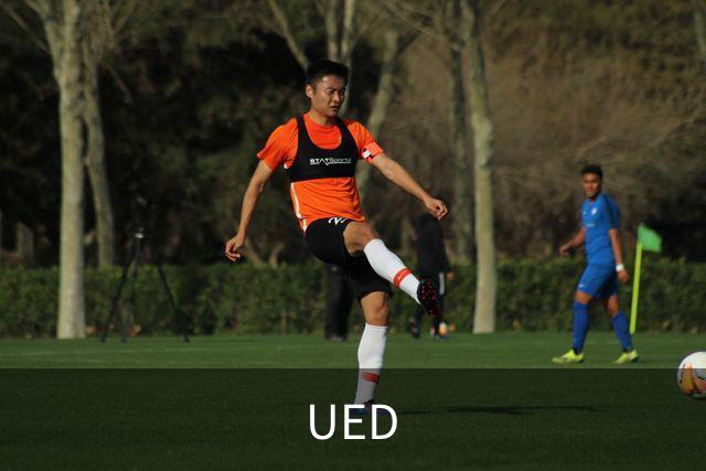 UED公司简介图片